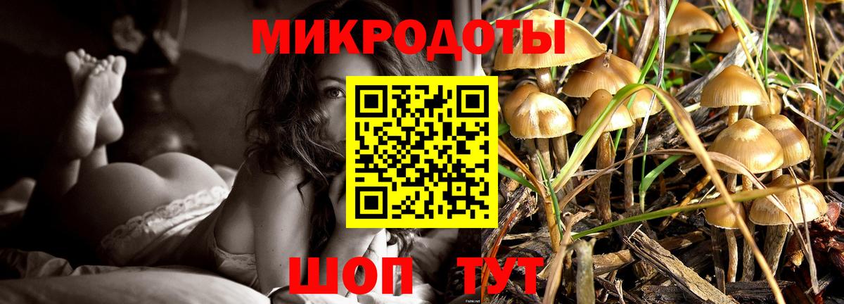 Галлюциногенные грибы Cubensis Волгодонск